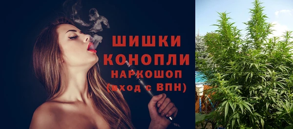 дживик Беломорск